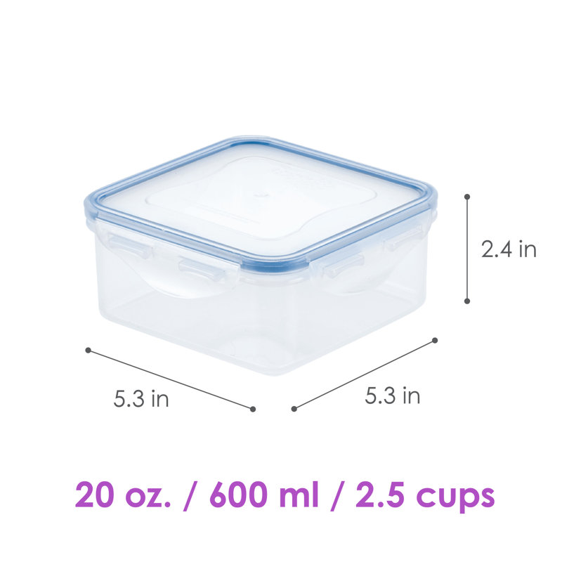 Easy Essentials™ Food Storage Container