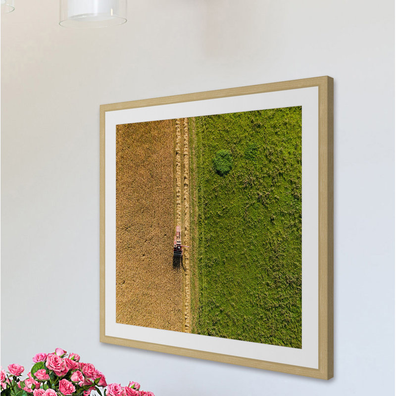 Single Picture Frame Print, 41 cm H x 41 cm W x 3.81 cm D