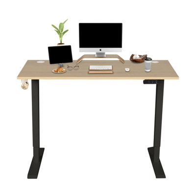 Castorena Adjustable Metal Base Standing Desk