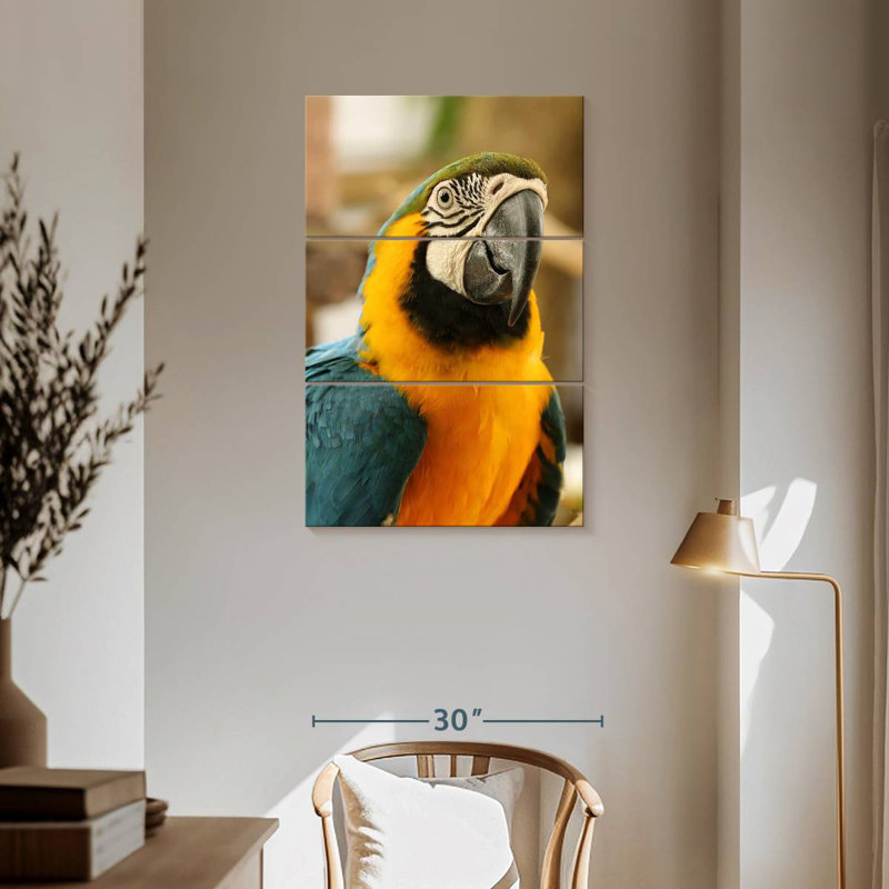 Brampt Exotic Macaw, 57" H x 36" W