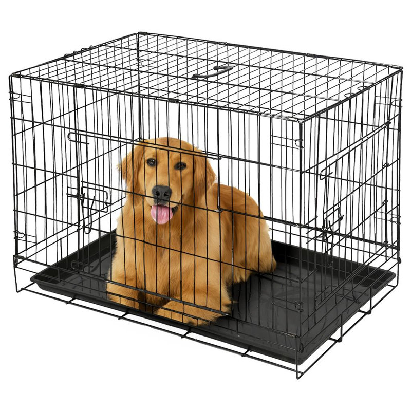 Metal Collapsible Pet Crate with 1 Door, Large