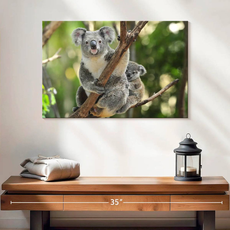 Australian Koala Bears, 16" H x 24" W