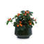 Pots de fleurs en céramique de haute qualité-88333921