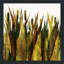 Quenouilles III - Peinture-567642524-567642531