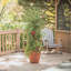 Support pour plantes Eastman
