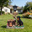 Statue jardinière Rottweiler