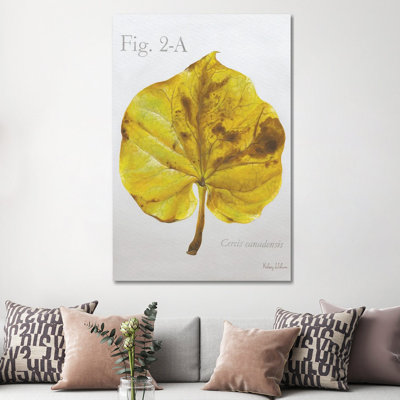 Autumn Leaves On Gray IV-Redbud by Kelsey Wilson - Gallery-Wrapped Canvas Giclée on Canvas