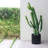 Ceramic Pot Planter