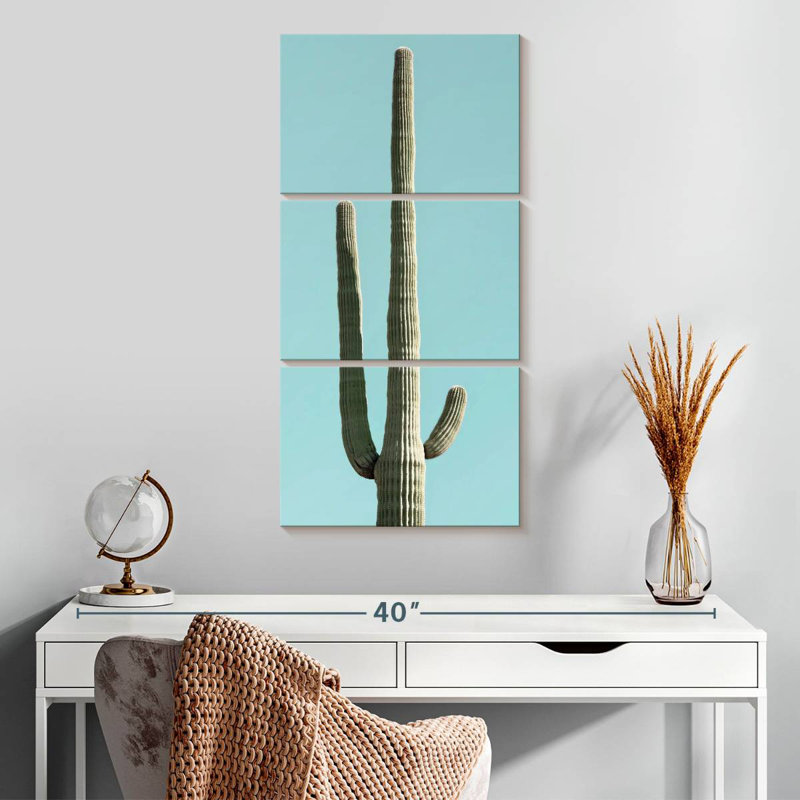 Cactus du désert