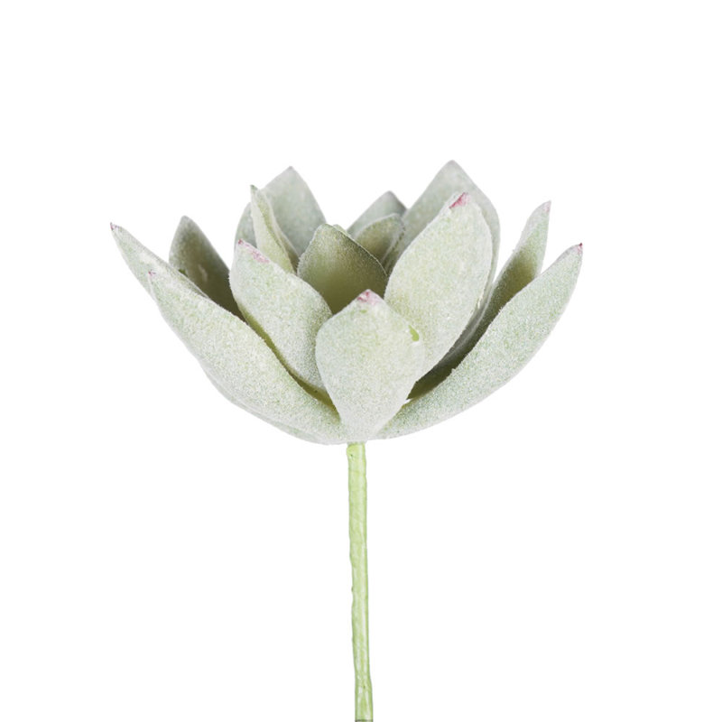 Ensemble de 6 branches artificielles Echeveria