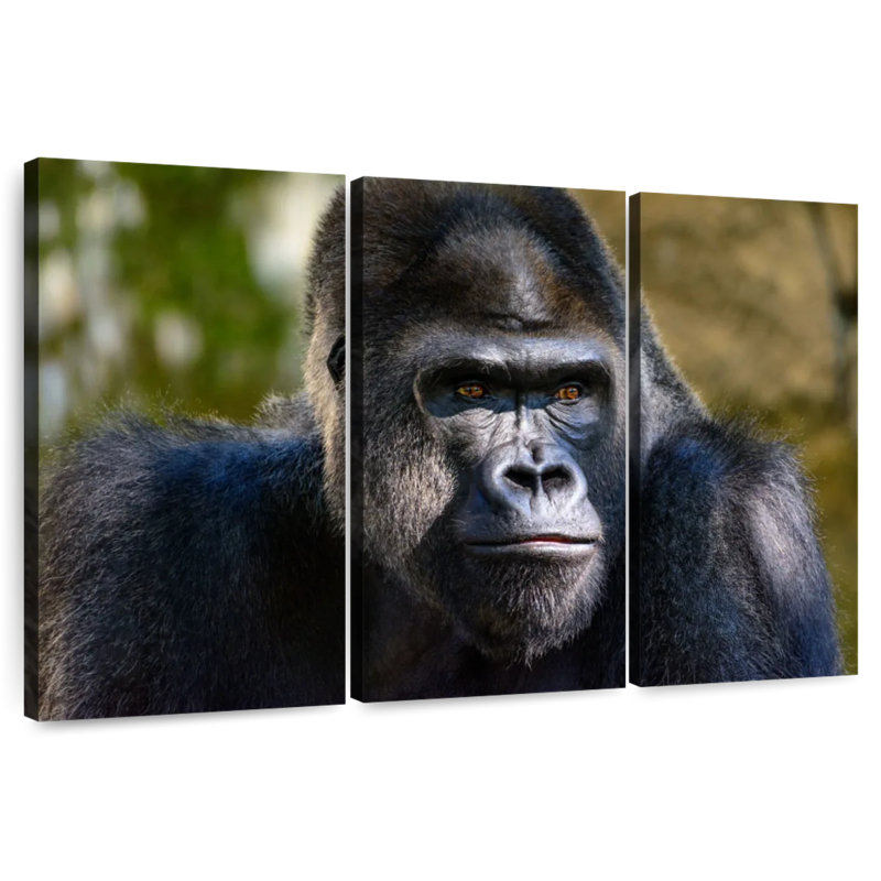 Mountain Gorilla