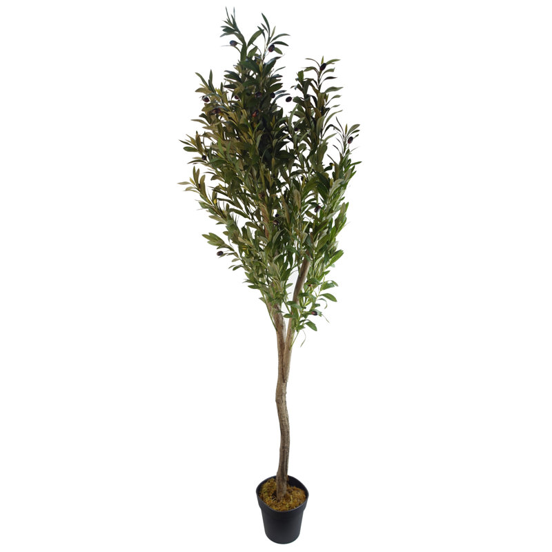 Anlin 150cm Faux Olive Tree in Pot