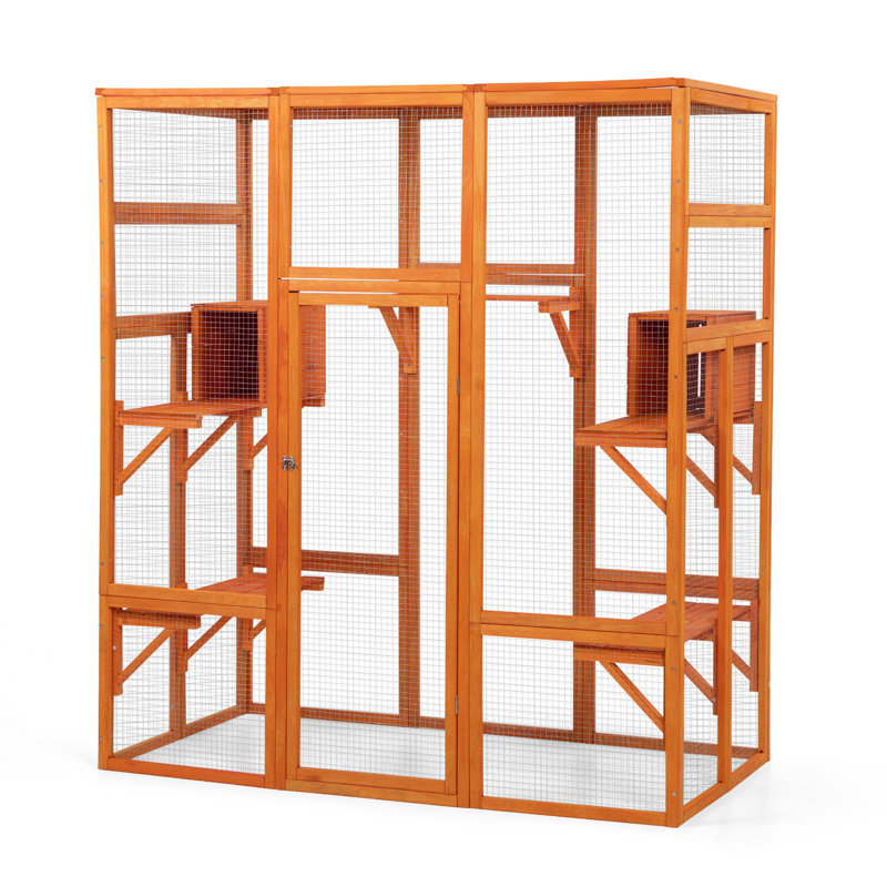 Grande enceinte pour chat avec 5 perchoirs, 2 condos et 1 porte verrouillable, Orange