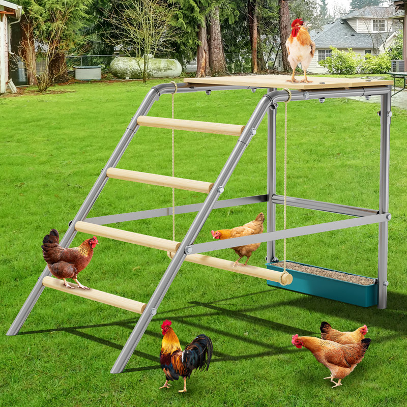 Perchoir à poulailler durable avec balançoire et échelle pour poulailler, barres de perchoir faciles à assembler, poule de basse-cour