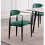 Ensemble de chaises d'appoint 2 pièces-114326332