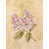 Toile tendue sélectionné