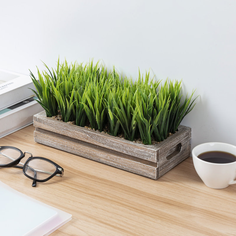 Jerrold 14 cm Artificial Grass in Planter