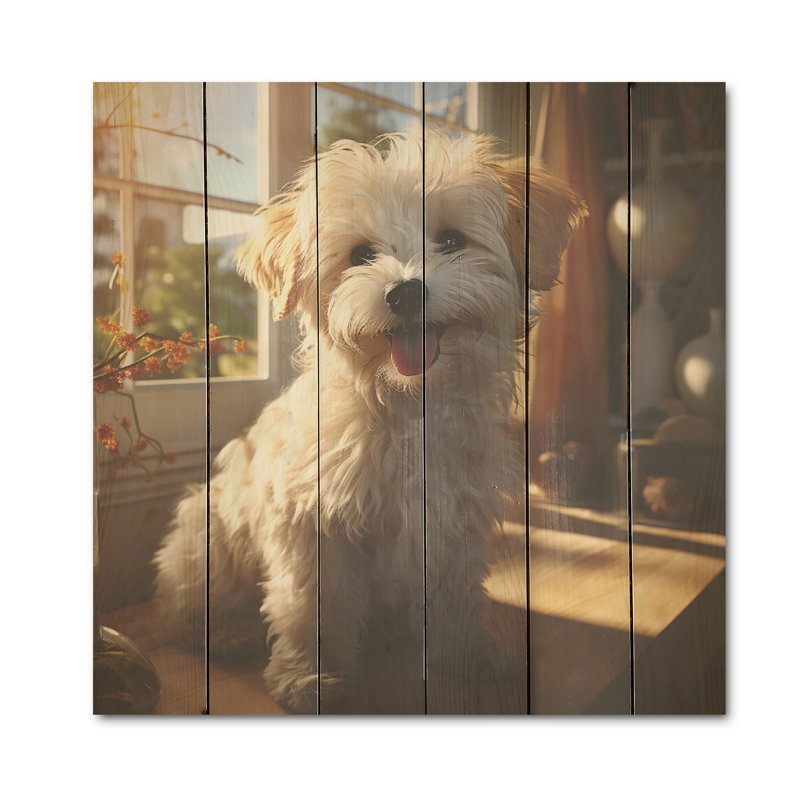 Bichon Bonanza - art mural en bois de chien sur bois de pin naturel, H 25 po x l 25 po