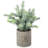 8 Inch H Artificial Tabletop Herb Plant in Pot
