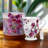 Tulip Tea/Coffee Tall Mug in Gift Box