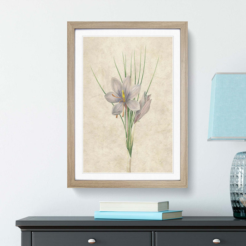 Autumn Crocus Flowers by Pierre-Joseph Redoute - Framed Print, 63cm H x 45cm W x 2cm D, Oak  Bordered Framed