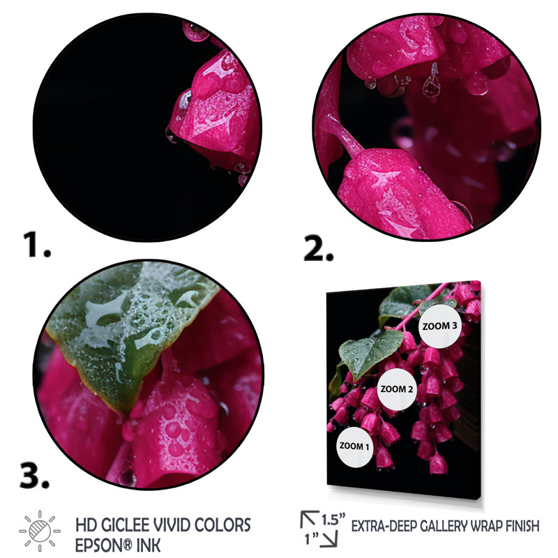 Colibri rose fuchsia I - art mural fuchsia, Cadre simple noir, H 32 po x l 16 po x P 1 po