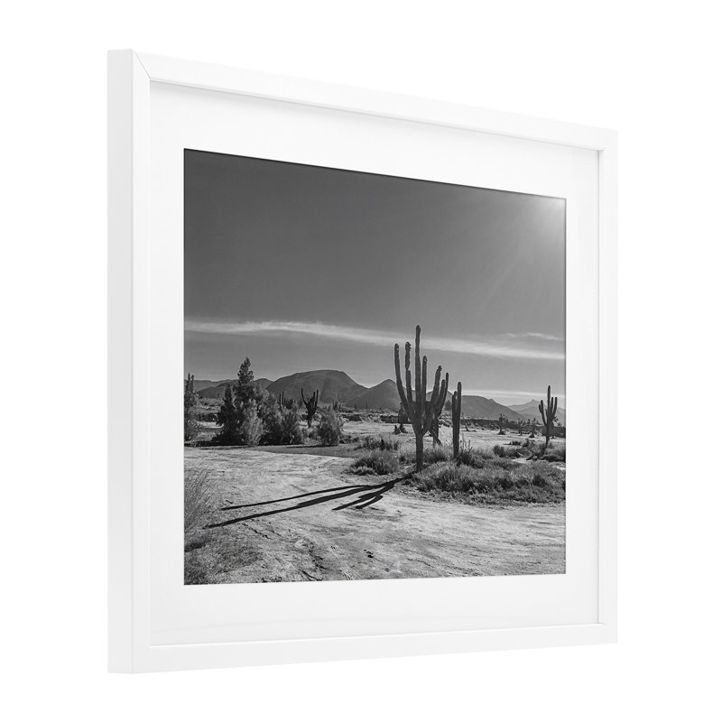Sunlit Cactus Valley, reproduction encadrée sous verre, design par Norm Stelfox, H 17 po x l 21 po, Cadre blanc côtier
