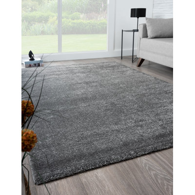 Papken Area Rug