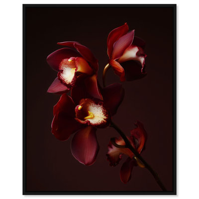 Ruby Bloom Print by Oliver Gal