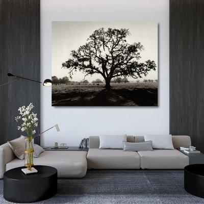 Oak Tree Sunrise
