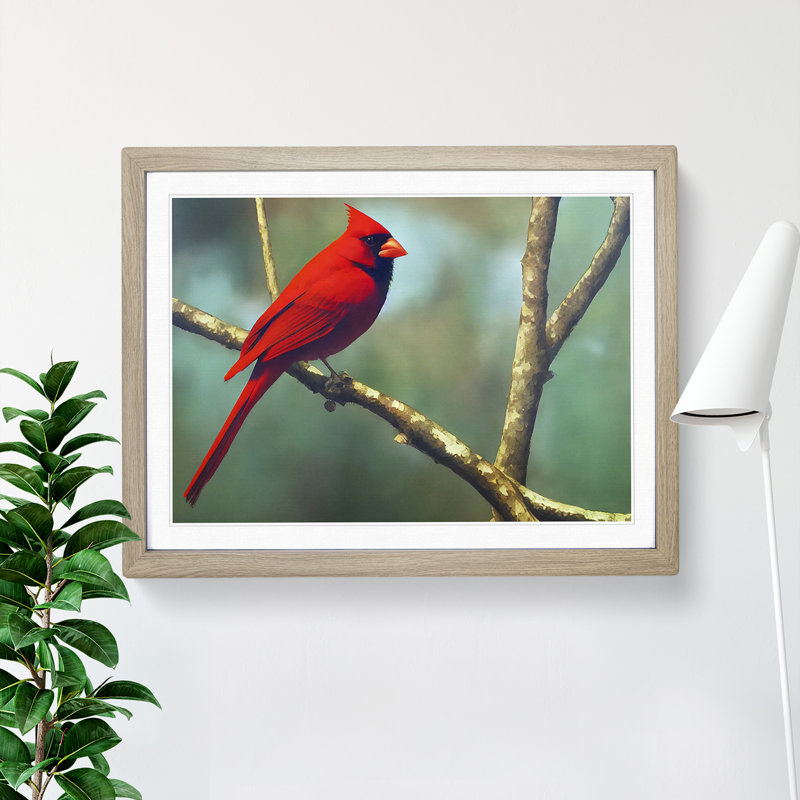 Cardinal Bird Vol.11 - Single Picture Frame Print, 46cm H x 64cm W x 2cm D, Oak Framed