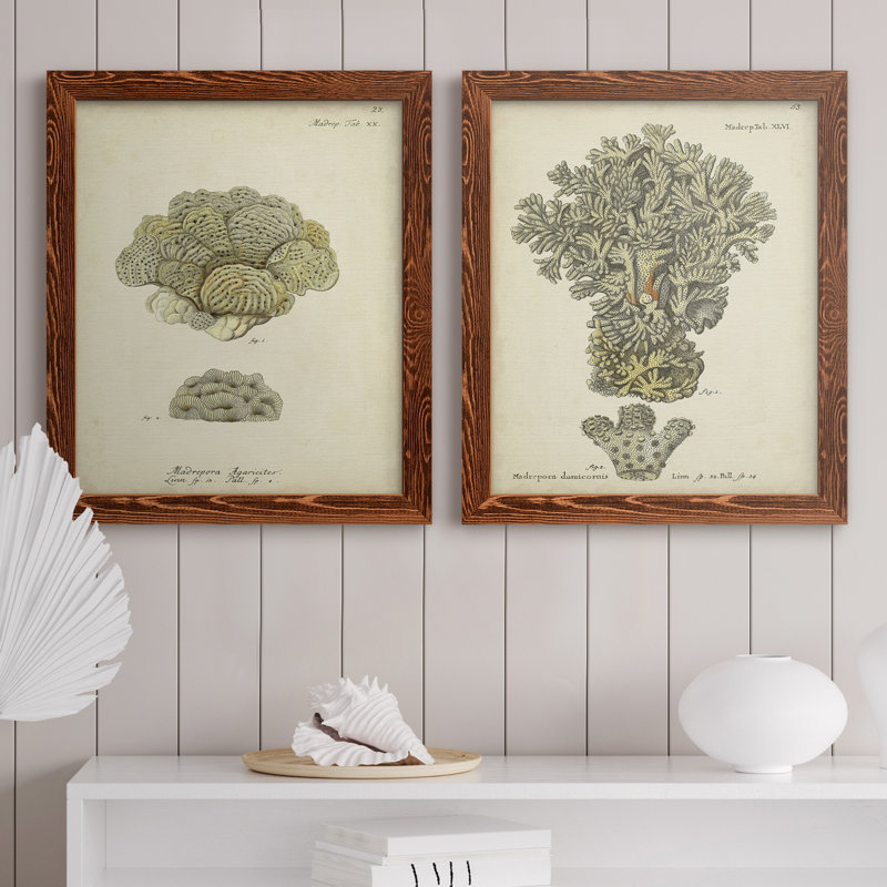 Toile encadrée écru corail, H 24 po x l 36 po x P 1,5 po, Toile avec cadre érable, Pas de tapis