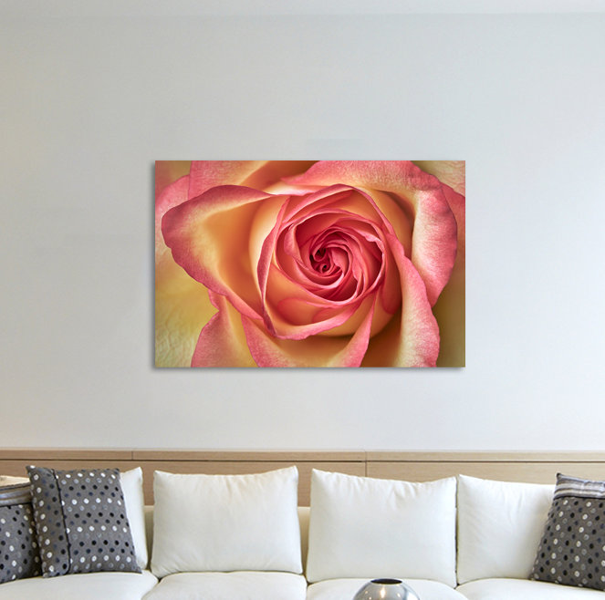 Gerahmtes Leinwandbild Rosa, gelbe Rose