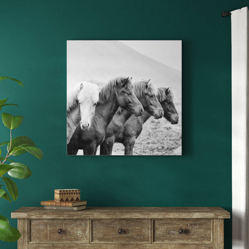 B And W Horses IX by PHBurchett - Wrapped Canvas Print, 91cm H x 91cm W