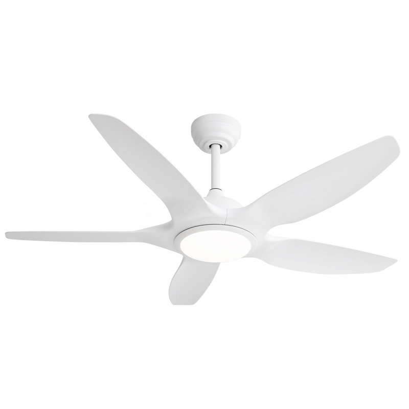Ventilateur de plafond 48 pouces avec lumière DEL à intensité variable et télécommande, 5 pales ABS, moteur à courant continu, blanc