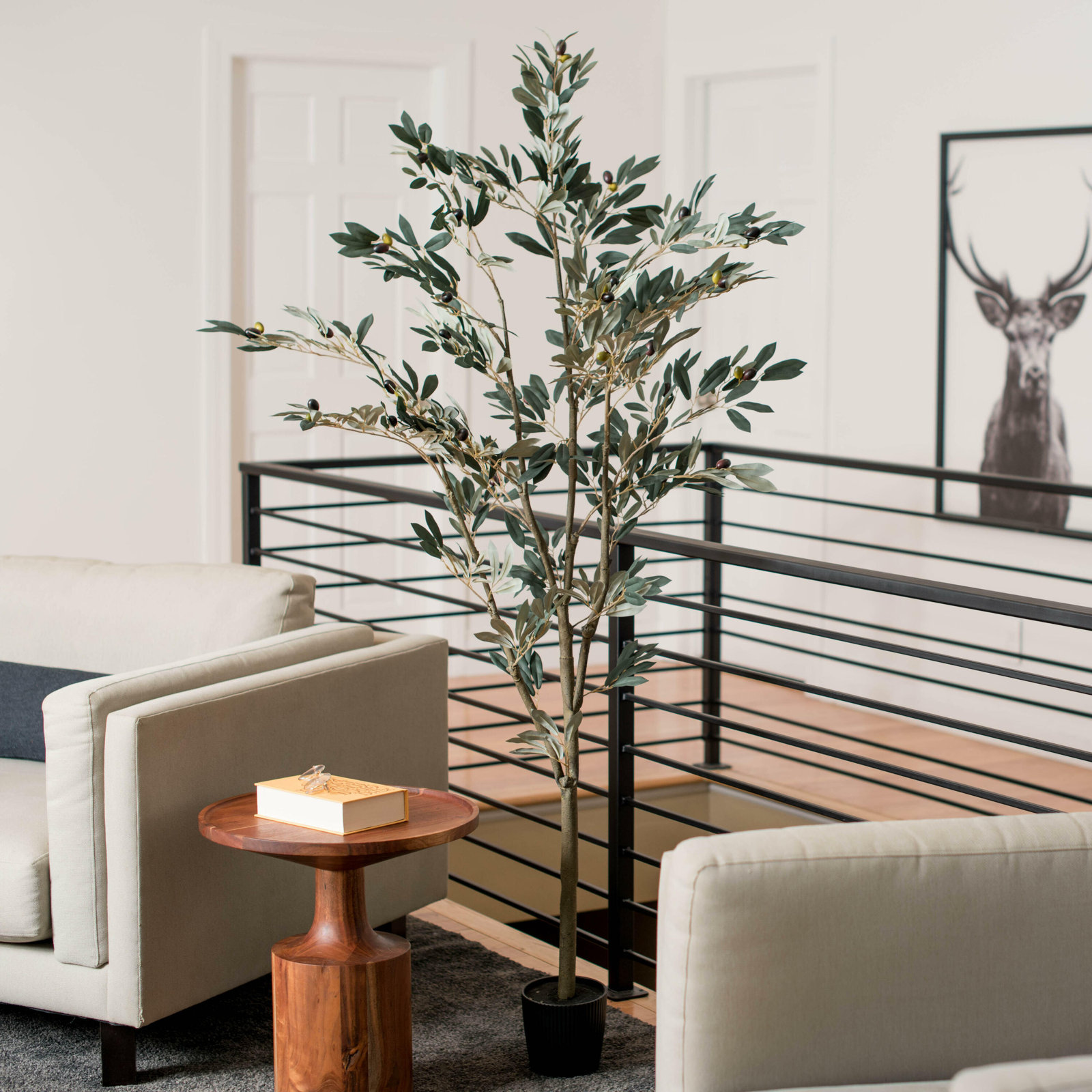 Winnetka Olive Tree in Pot, 72" H x 34" W x 34" D