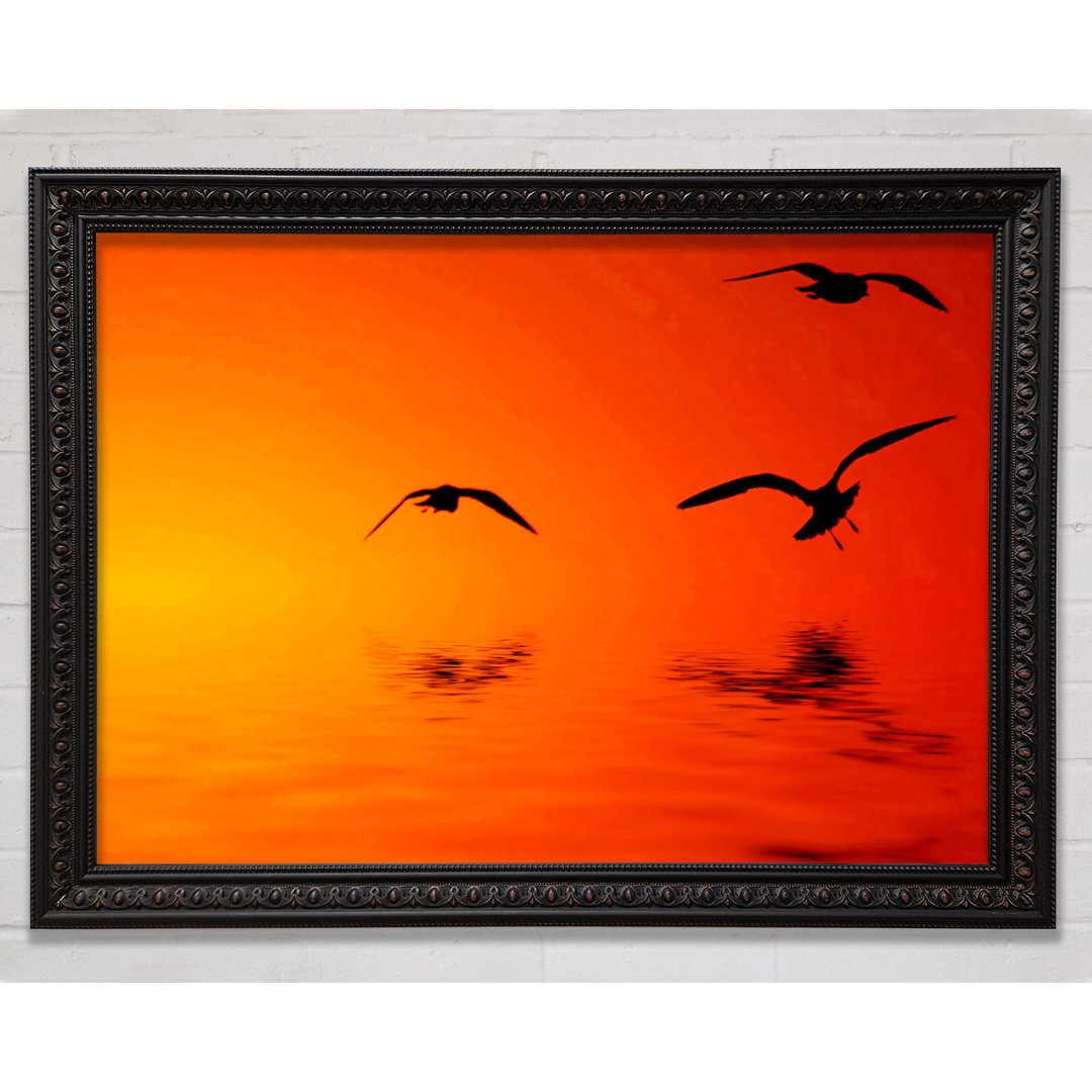 Orange Ocean Flight - Einzelner Bilderrahmen Kunstdrucke