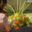 Bordeaux Resin Trough Planter-1624158526
