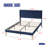 Upholstered Wingback Platform Bed-117170661-117170669