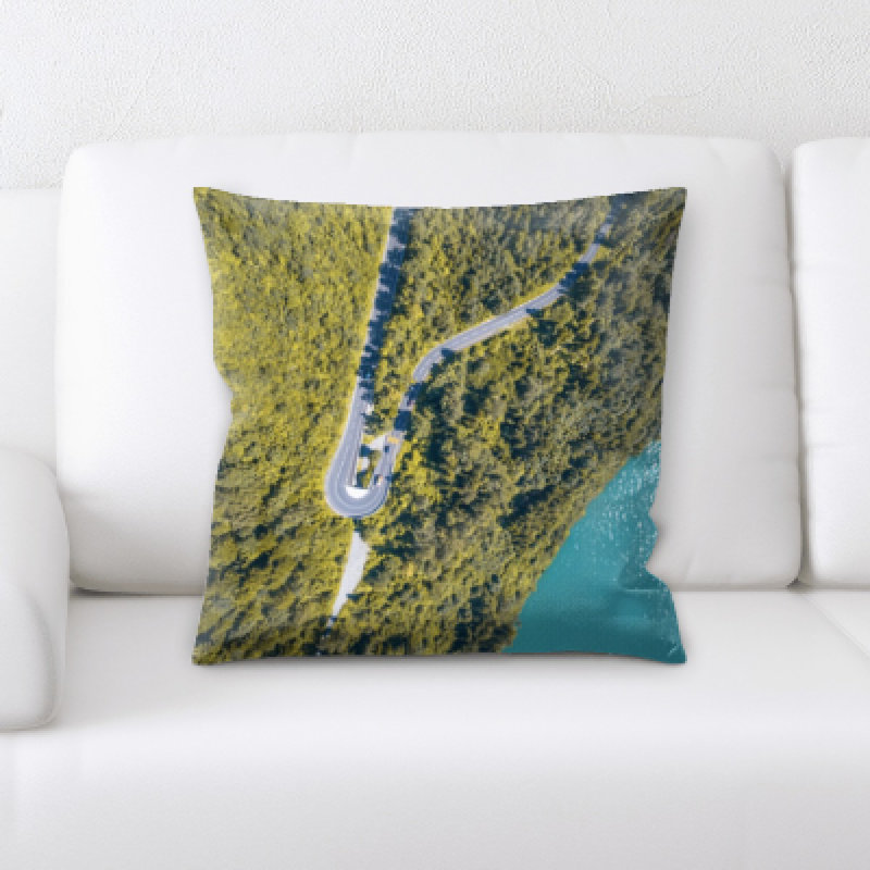 Coussin décoratif