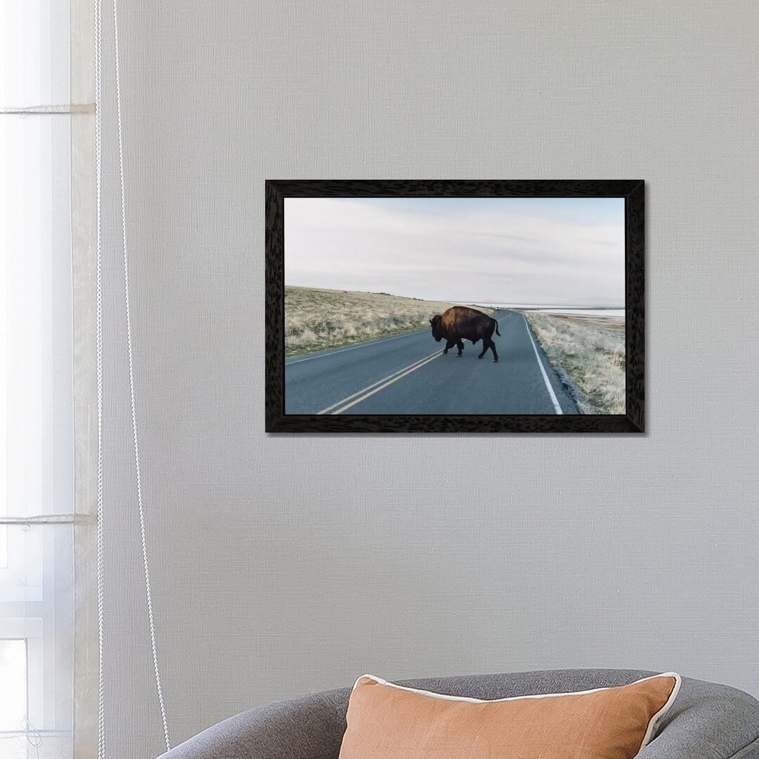 Leinwandbild Buffalo Bison von Chelsea Victoria