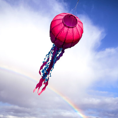 Manche à vent Jellyfish Big Breeze