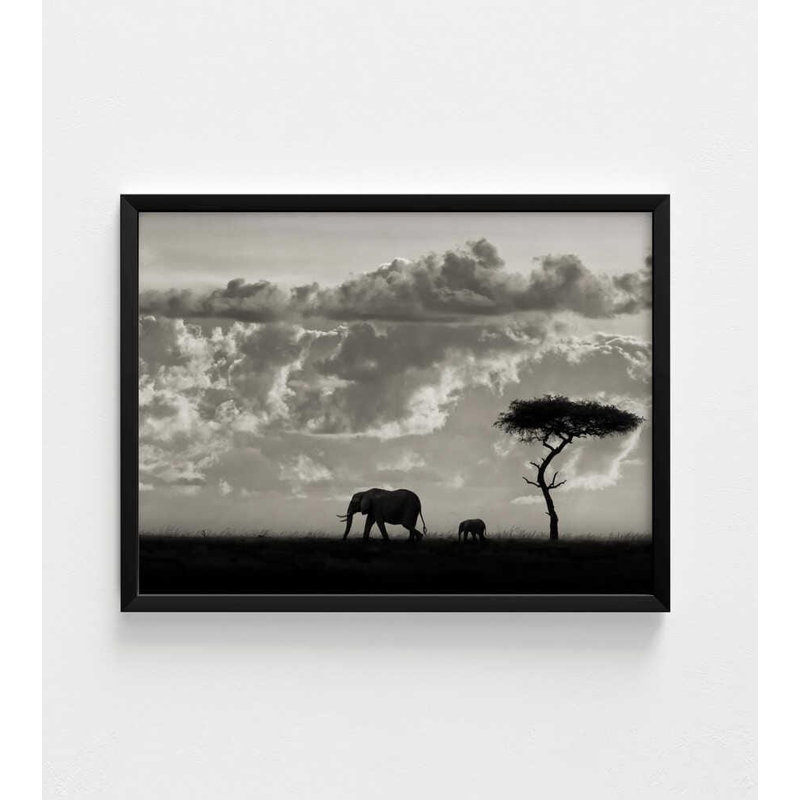 «Elephants at Dusk», reproduction de photo encadrée safari, H 30 po x l 40 po, Noir, Ne s’applique pas