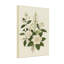 Plantes et fleurs roses blanches et motif de feuilles vertes-1133877616