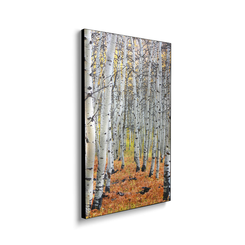 Reproduction d'art sur toile en métal, "Steppeix" par Autumn Artist