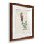 Traditional Botanical I - Ensemble de 4 peintures encadrées-1560402230-1560402224
