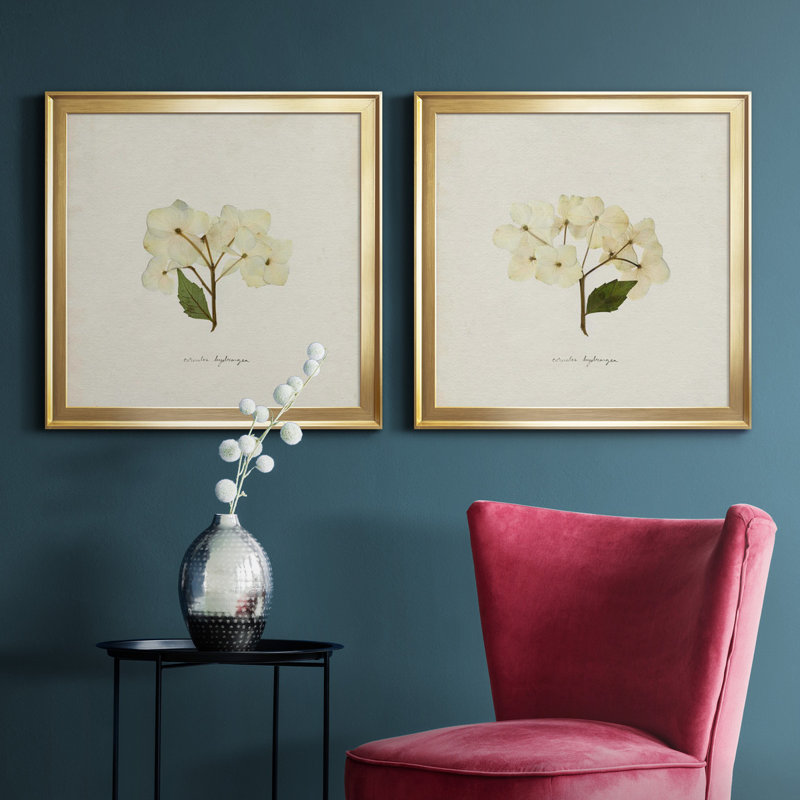 Cornales Hydrangea I Cornales Hydrangea I - ensemble de 2 reproductions de cadres photo, H 17,5 po x l 35 po, Doré