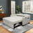 53.2'' Small Loveseat Pull-Out Sofa Bed - Adjustable Backrest-35711610