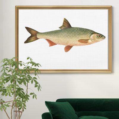 «Small Small Antique Fish VI», reproduction d'art graphique sur toile encadrée