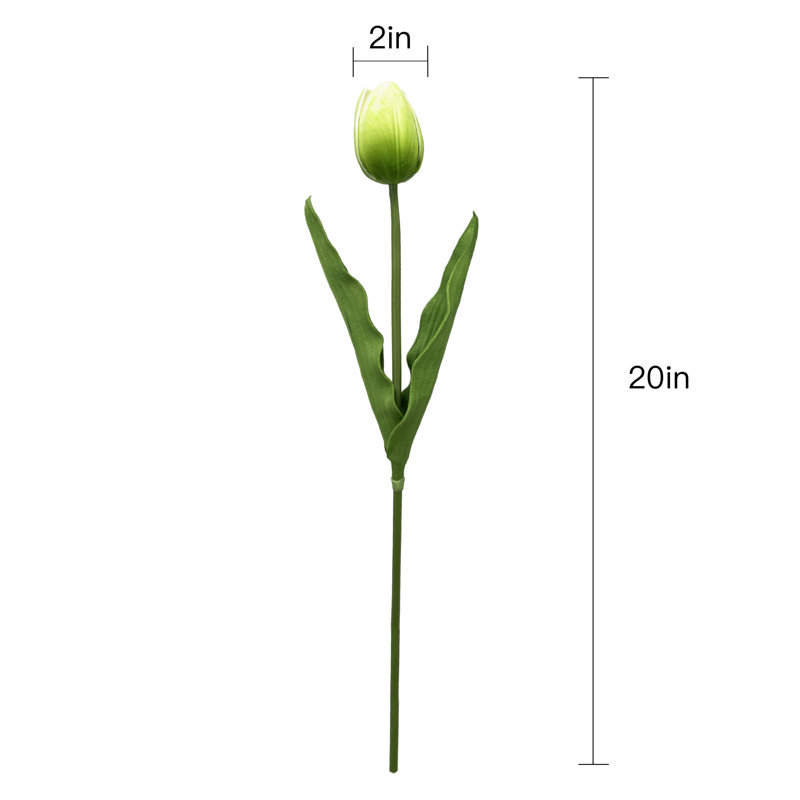 Polyether Polyurethane (PU) Tulip Arrangement, Green